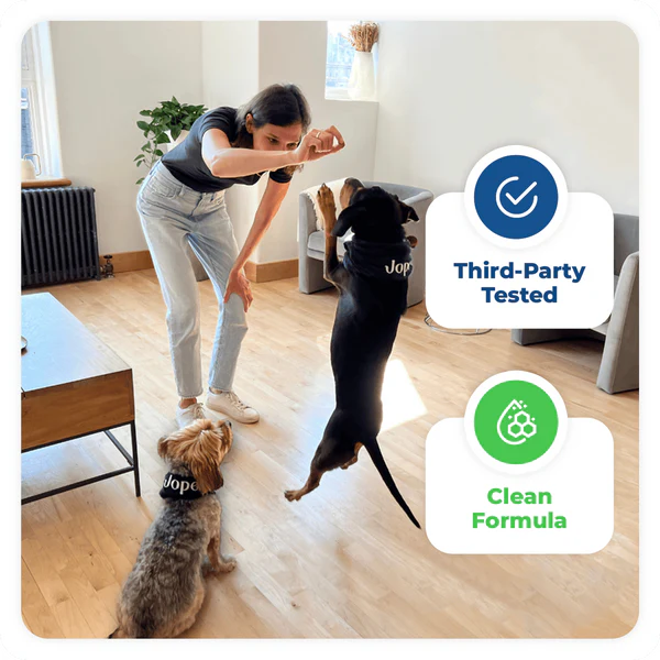 Jope Hip & Joint Dog Chews - 60 Count