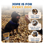 Jope Hip & Joint Dog Chews - 60 Count